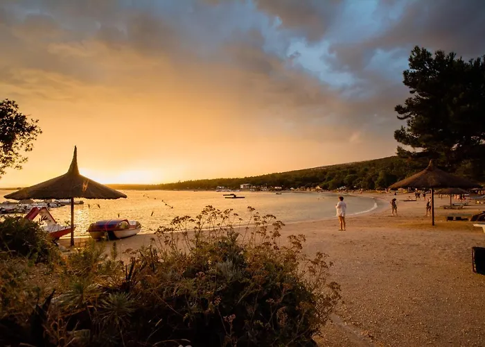 Mobile Homes Marita *